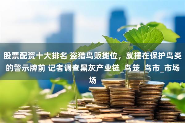 股票配资十大排名 盗猎鸟贩摊位，就摆在保护鸟类的警示牌前 记者调查黑灰产业链_鸟笼_鸟市_市场